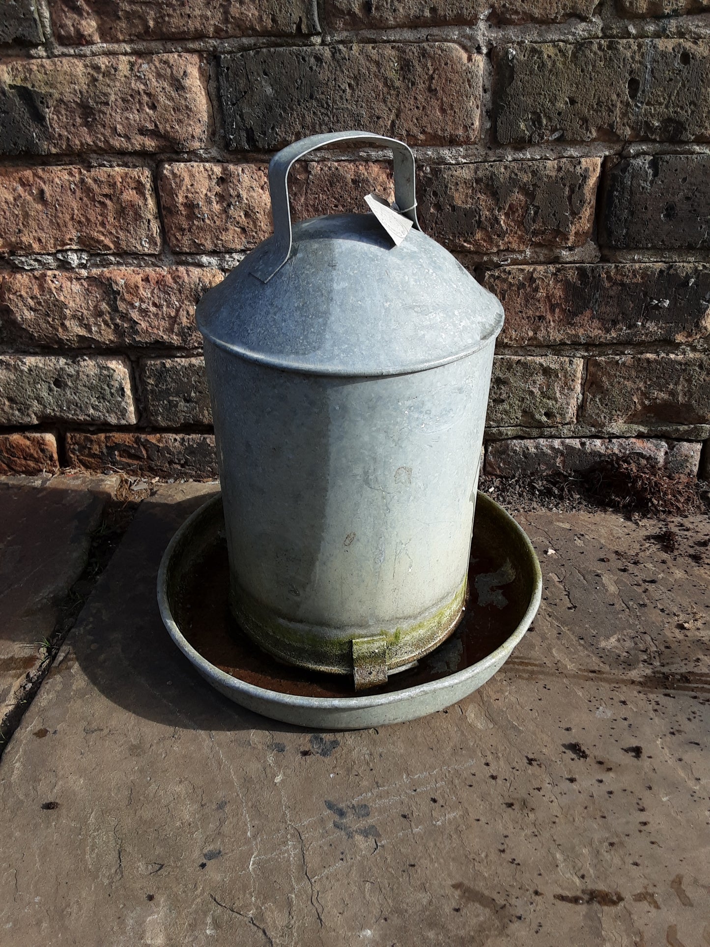 Galvanised Chicken Drinker