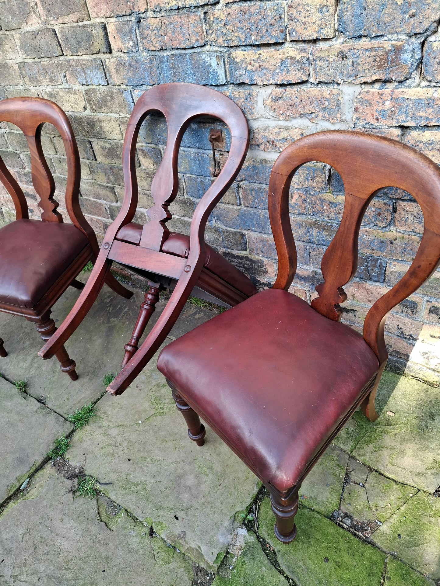 Victorian Balloon Back Dining Chairs