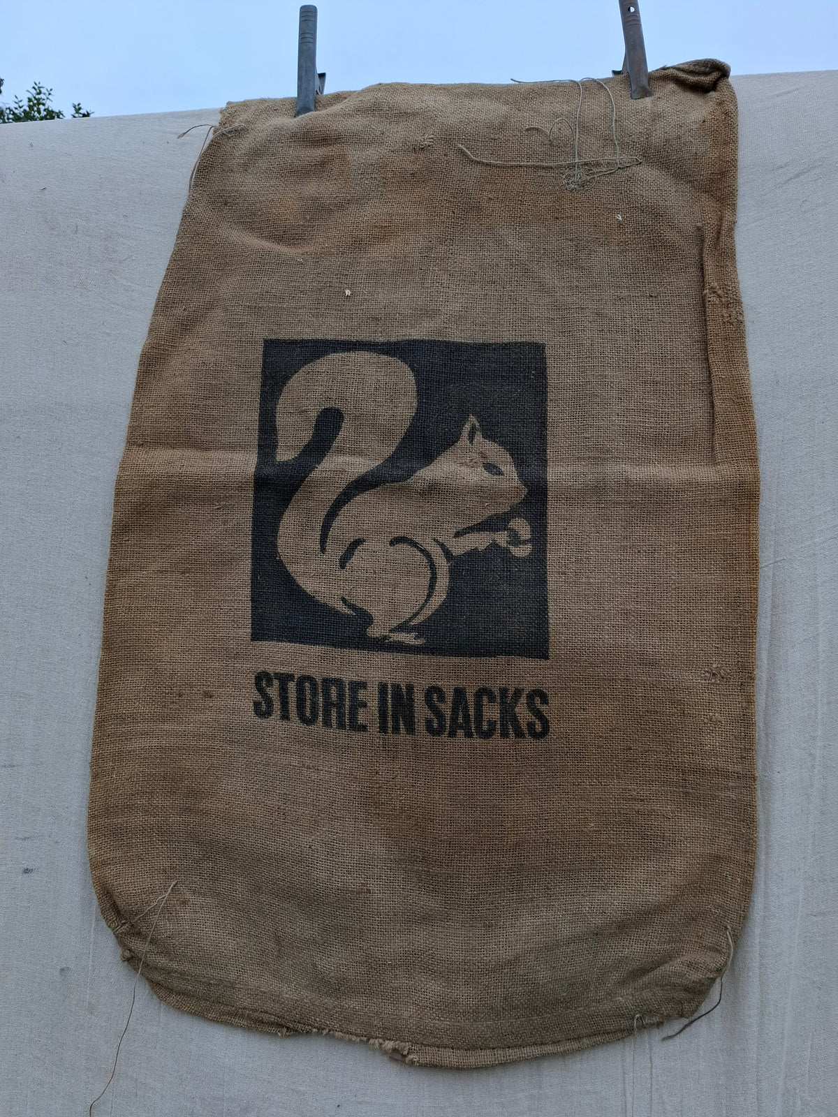 Hessian Sack Squirrel